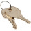 2pcs 831306 C415A Key, Pack Of 2 1