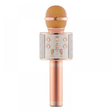 US Wireless Bluetooth Speaker Karaoke WS-858 Microphone Portable USB Player KTV