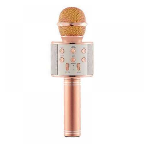 US Wireless Bluetooth Speaker Karaoke WS-858 Microphone Portable USB Player KTV