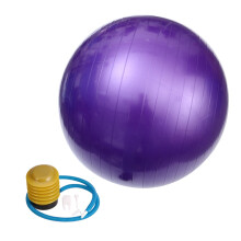 Mizh 75cm 900g Anti-Burst Yoga Ball for Fitness & Gym - Purple, Includes Pump, Air Clamp, Stopper