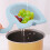 EIGTHTAIL Multi-Functional Hanging Filtering Rack Elephant Filter Basket Multi-Functional Punch-Free Pool Filter Basket 5