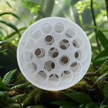 Transparent Flower Arrangement Tool with Clear Spiral Holder Fits All Vase Shapes