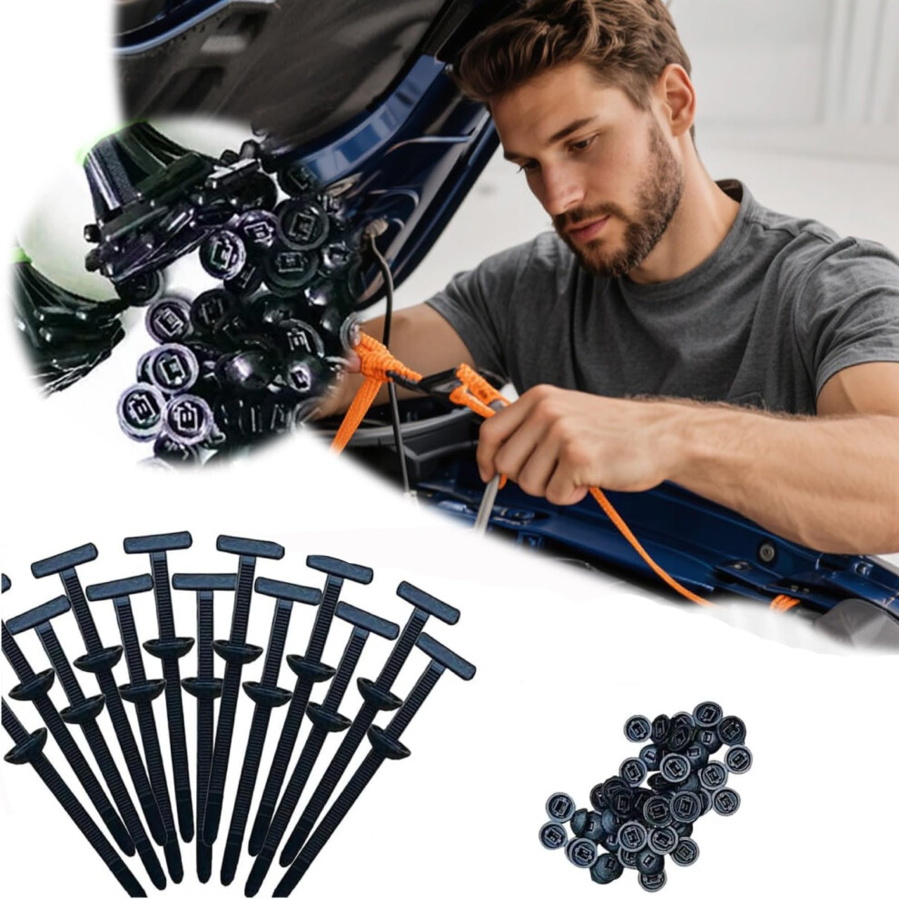 100Pcs Universal Cable Tie Buckles For Cars, Heavy Duty Selflocking Weatherresistant Nylon Zip Ties Kit 9070919199424