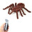 Wireless Remote Control Realistic Spider Toy With Glowing Eyes Silent Crawl Prank Fun Easy Play Kids Educational Interactive Bionic Spider Back 1