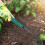 Heavy Duty Long Handle Weed Puller Tool with Ergonomic Grip and Sharp Manganese Steel Teeth 5