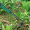 Weed Puller Manganese Steel Garden Weeding Tool with Ergonomic Long Handle for Deep Root Removal 2