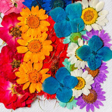 36Pcs Assorted Dried Flowers Natural Multi-Purpose Floral Heads 14.5x10.5cm