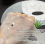 10 Pcs Bio-collagen Deep Mask Collagen Sheet Face Overnight Mask 2
