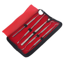 Dental Pick Scaler Set Plaque And Tartar Remover Tools Stainless Steel Tartar Remover With Case Prevent Mouth Odor Professional Dental Hygiene Kit