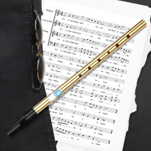 Irischer Pfeifenflöte Schlüssel D, 6 Löcher, Silber oder Gold, leicht, 29,8 cm