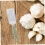 Stainless Steel Garlic Press and Cheese Grater for Quick MultiIngredient Use Durable Kitchen Tool 4