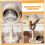 Desktop Range Hood USB Powered Mini Kitchen Extractor Fan for BBQ Hot Pot and Small Spaces 3