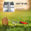 Weed Puller Manual Weeder Tool for Quick Precise Root Removal in Lawn and Garden 3