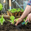 Gardening Tool Set with Storage Case, Lightweight Durable Garden Tools Kit for Planting 4