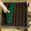 Seed Planting Tool with Ergonomic Grip for Precise Garden Rows and Vegetable Herb Planting 5
