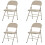4pcs Foldable Iron & PVC Chairs for Convention & Exhibition 1