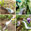Garden Weeder with Deep Root Removal, Ergonomic Hand Tool for Dandelion and Lawn Weed Pulling 5
