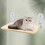 Cat Window Perch Hammock Bed with Secure Mount for Indoor Cats Sunbathing, Gray L 3