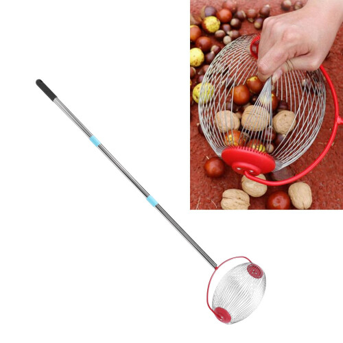 Nut Picker Upper Long Handle Walnut and Pecan Roller Nut Gathering Tool for Acorns and Chestnuts
