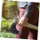 Hatchet Leather Sheath with Secure Snap Closure for Camping Axe Blade Protection, Full Grain Leather 3