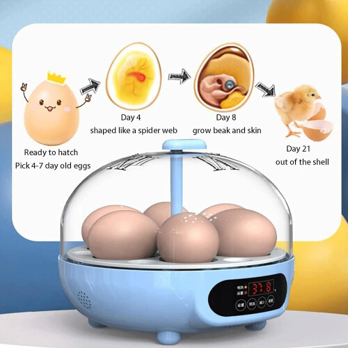 Smart Egg Incubator with Bluetooth Connectivity, Temperature Control and Humidity Regulation for Optimal Hatching, Internal Lighting and Transparent 1