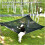 Large MultiPerson Camping Hammock Swing with Triangular Stability Frame for Outdoor Hiking Black 2