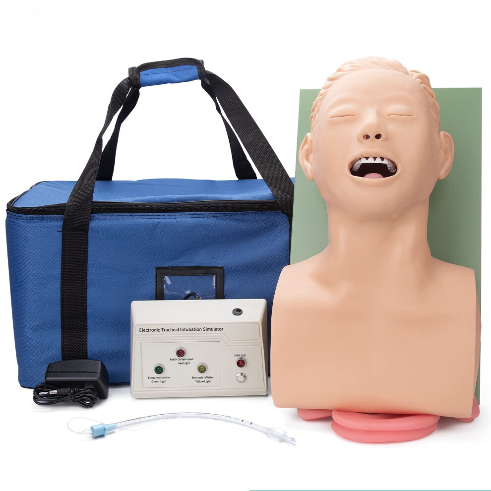 Adult Intubation Manikin with Realistic Airway Anatomy, Visual Audio Feedback and Durable PVC
