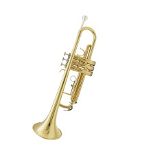 B Flat Gold Lacquer Beginner Trumpet for Adults with Balanced Brass Tone and Professional Style