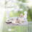 Cat Window Perch Hammock with Plush Surface, Foldable Bed and Strong Suction Cups, Grey 30x52cm 4