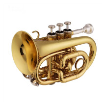 Pocket Trumpet Bb Brass Mini with Mouthpiece for Travel Practice and Focused Tonal Projection