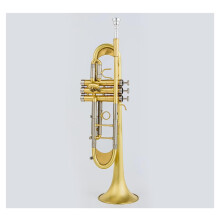 Bb C Trumpet with Mouthpiece, Gold Plated Finish, Dual Key, Ready to Play for Beginners
