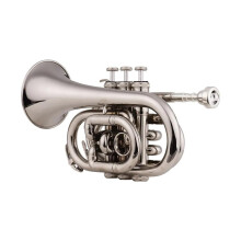 Pocket Trumpet Mini Bb Brass with Mouthpiece, Gloves and Carrying Case for Practice