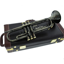Professional Bb Trumpet Black Nickel and Gold Plated Yellow Brass with Accurate Bb Tuning