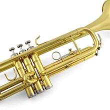 Professional Brass B Flat Trumpet Model B Lacquered Gold with Precise Tuning and Rich Tone