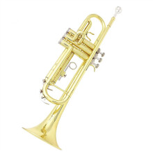 Beginner B Flat Trumpet Set with Case, Mouthpiece, Gloves, Cleaning Cloth and Strap