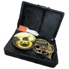 Beginner French Horn Yellow Brass Gold Lacquer 4 Keys F/BB Dual Tone with Carry Case