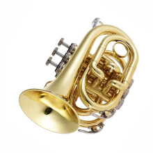 Pocket Trumpet Bb Compact Brass for Beginners with Clear Tone and Durable Construction