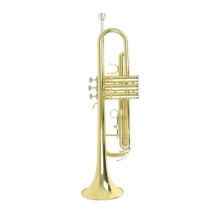 Professional Trumpet Case Gold Finish with Strap for Brass Instrument Protection and Style