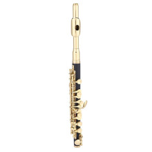 Gold C Key Piccolo Flute for Beginners with Elegant Finish and Padded Case