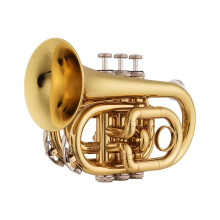 Beginner Bb Pocket Trumpet Compact Brass for Students Clear Tone Durable Construction