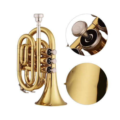 Beginner Bb Pocket Trumpet Compact Brass for Students Clear Tone Durable Construction 2