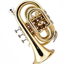 B Flat Pocket Trumpet Compact Brass Instrument for Beginners and Travel Practice