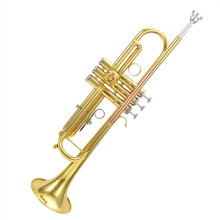 Professional B Flat Trumpet Brass with Stainless Steel Valves Rich Centered Tone for Students