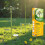 Peckish Peckish Wild Bird Dining Station Green Feeder 6