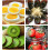 Stainless Steel Egg and Fruit Slicer with Uniform Slice Thickness, Easy Clean Kitchen Tool 2
