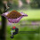 Μπαλκόνι Bird Bath Railing Bird Feeder Birdbath Bowl Fence Bird Bath με ρυθμιζόμενη βάση βαρέως τύπου 3