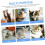 Cat Window Hammock with Durable Suction Cups, Foldable Perch Bed for Indoor Cats, ScratchResistant 4