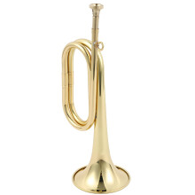 Beginner Compact Brass Trumpet 12.8 in with Professional Sound Quality for Practice and Ensemble