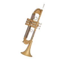 Professional Bb Brass Trumpet with Bright Tone for Beginners and Students, Includes Accessories
