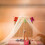 Large Universal Mosquito Net with Dome Design 5